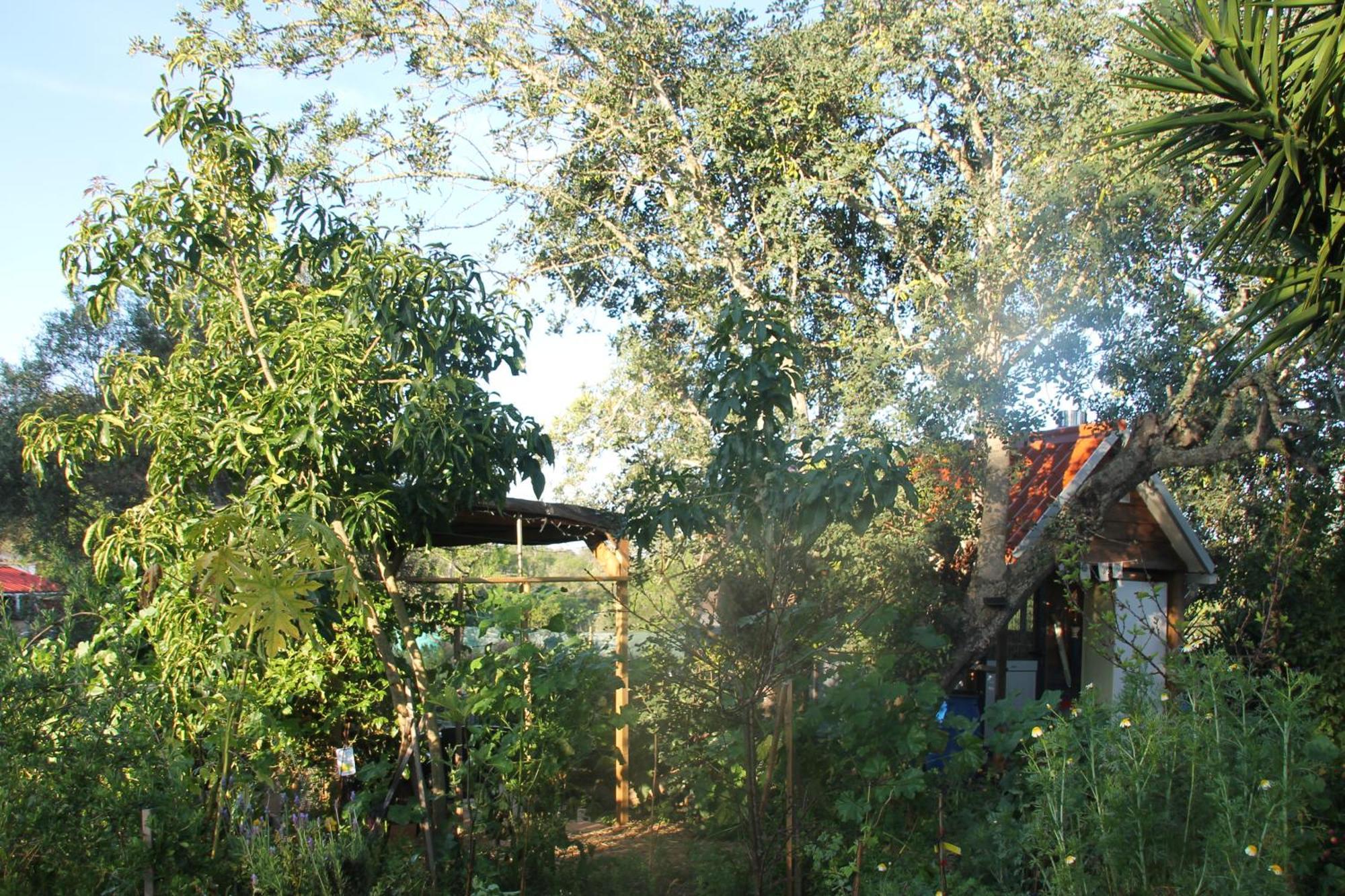 Tiny House Eco Resort Estevais Εξωτερικό φωτογραφία